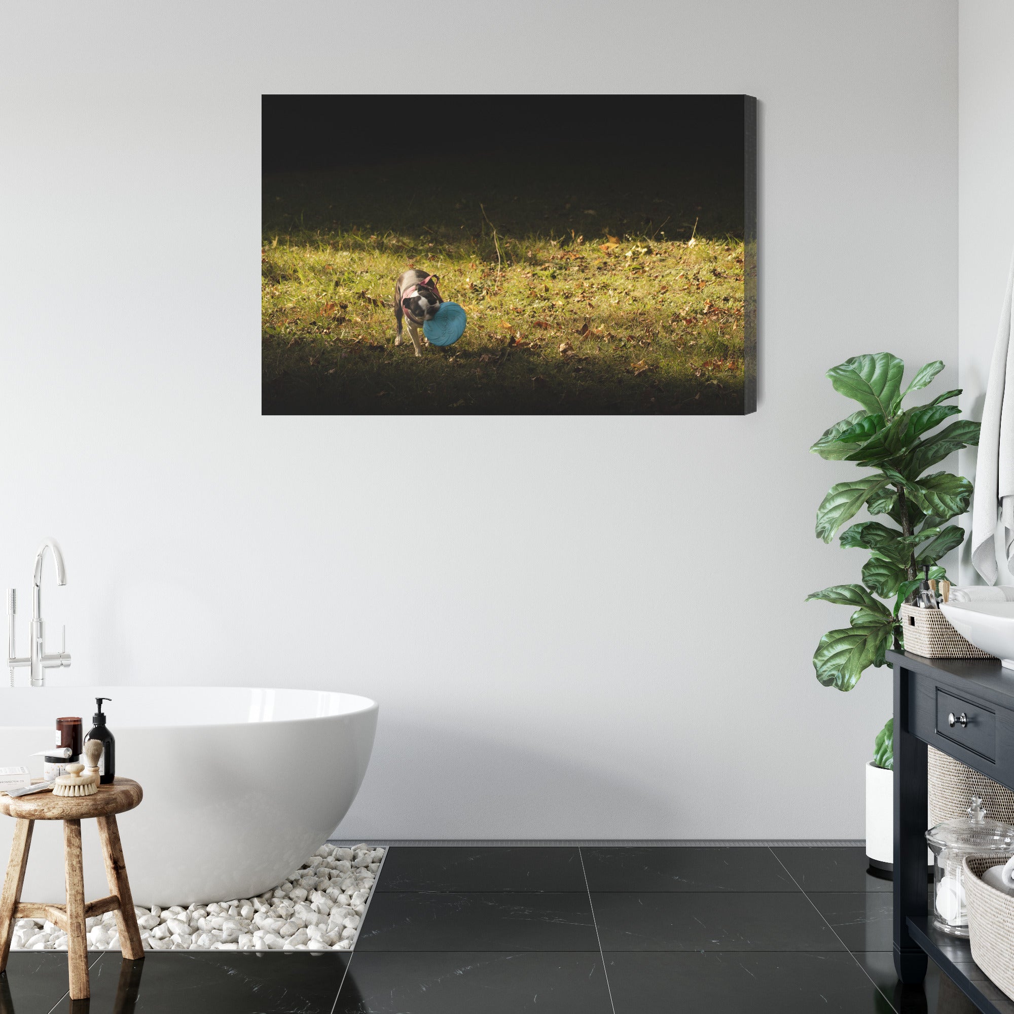 Obraz na płótnie Pies z frisbee