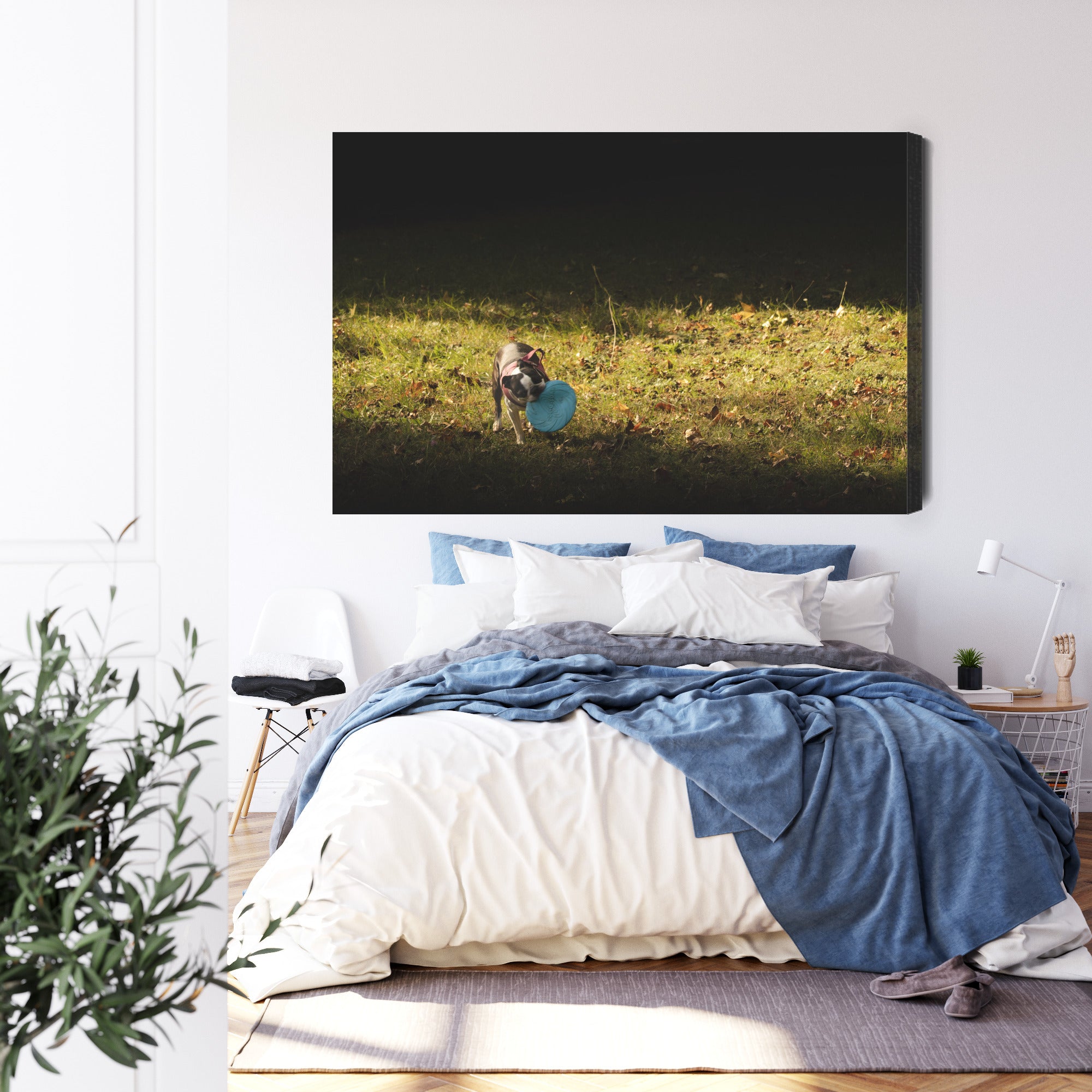 Obraz na płótnie Pies z frisbee