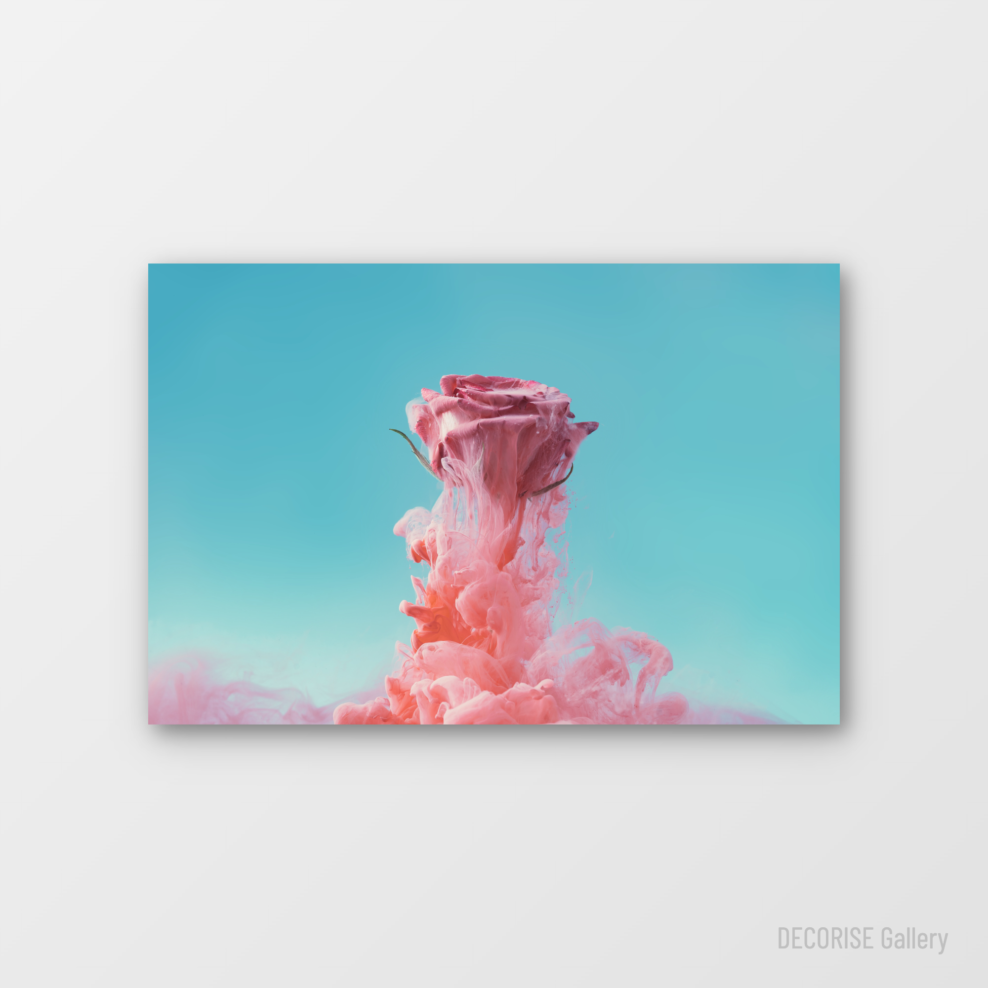 Różowa róża w różowej mgle