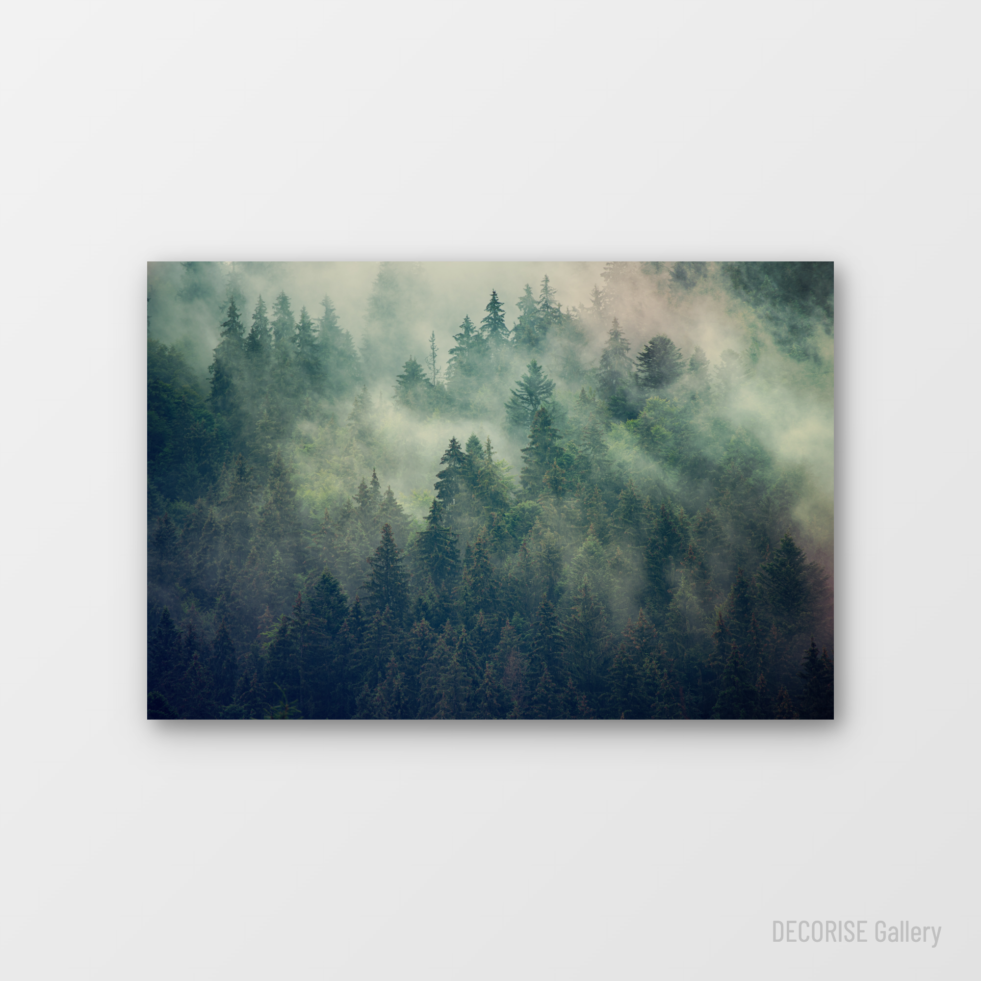 Gęsty las iglasty we mgle