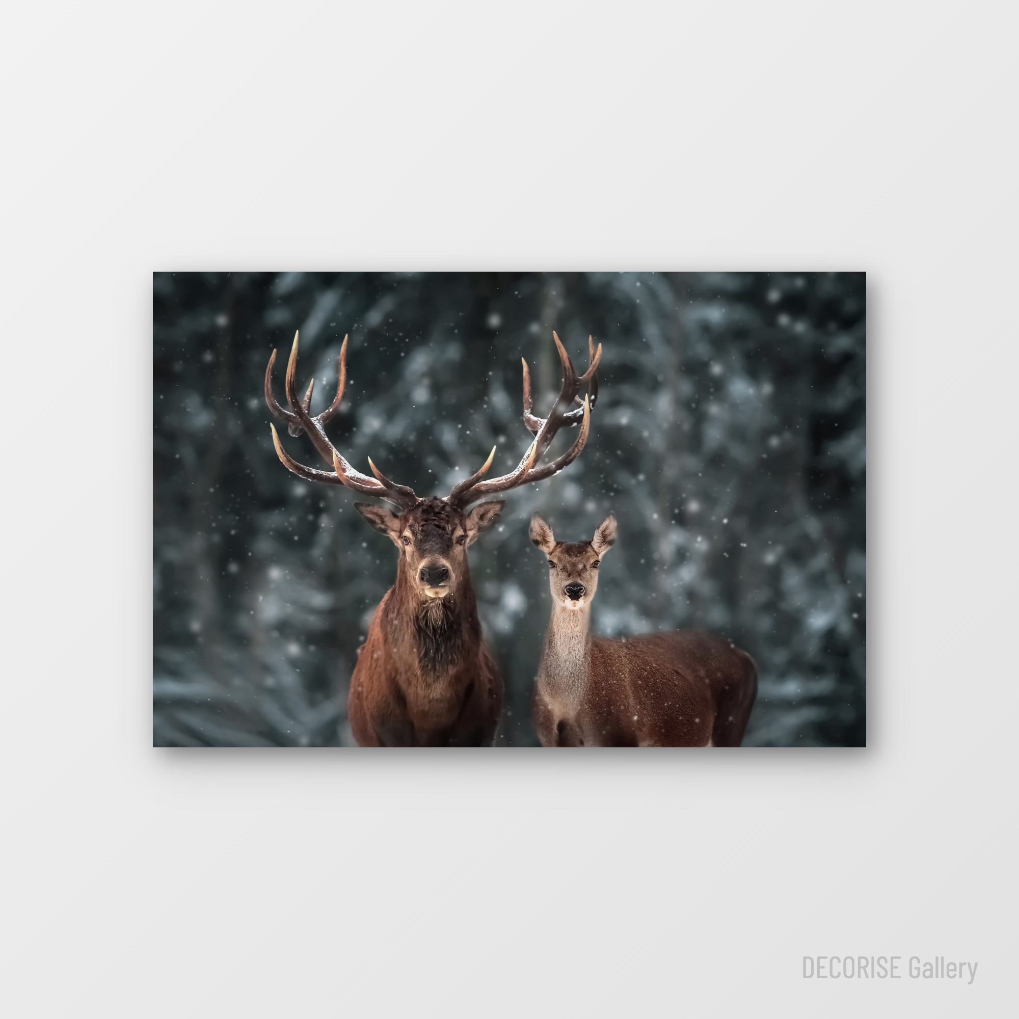 Jeleń i łania w padającym śniegu