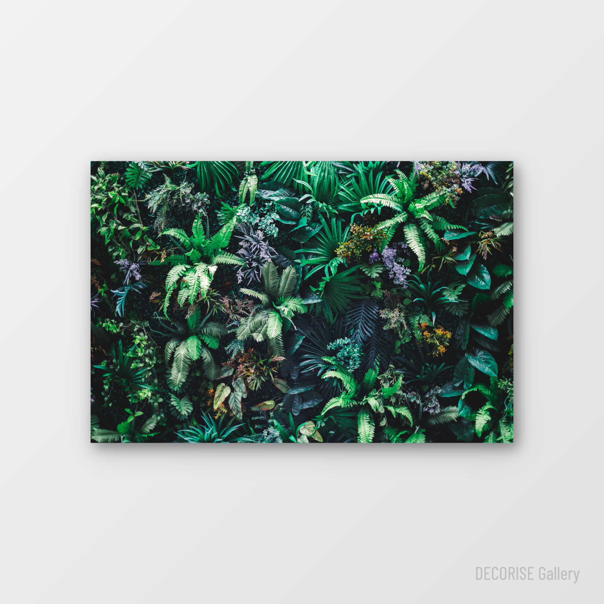 Gęsta ściana egzotycznych roślin i paproci