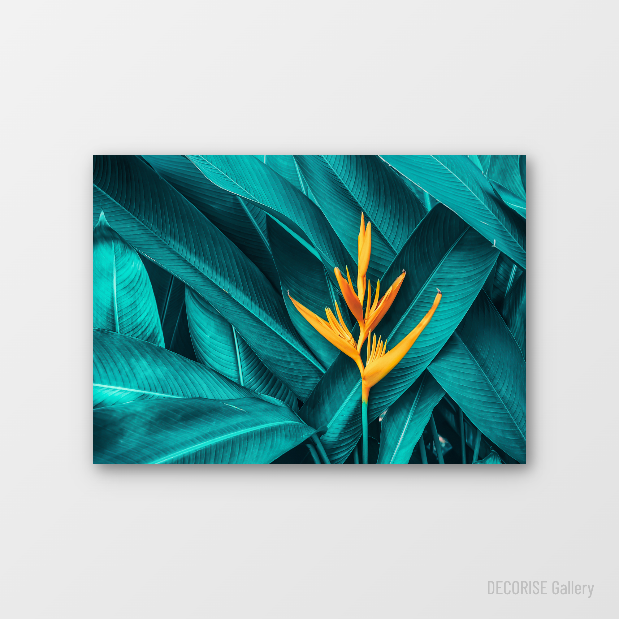 Pomarańczowy kwiat wśród turkusowych liści