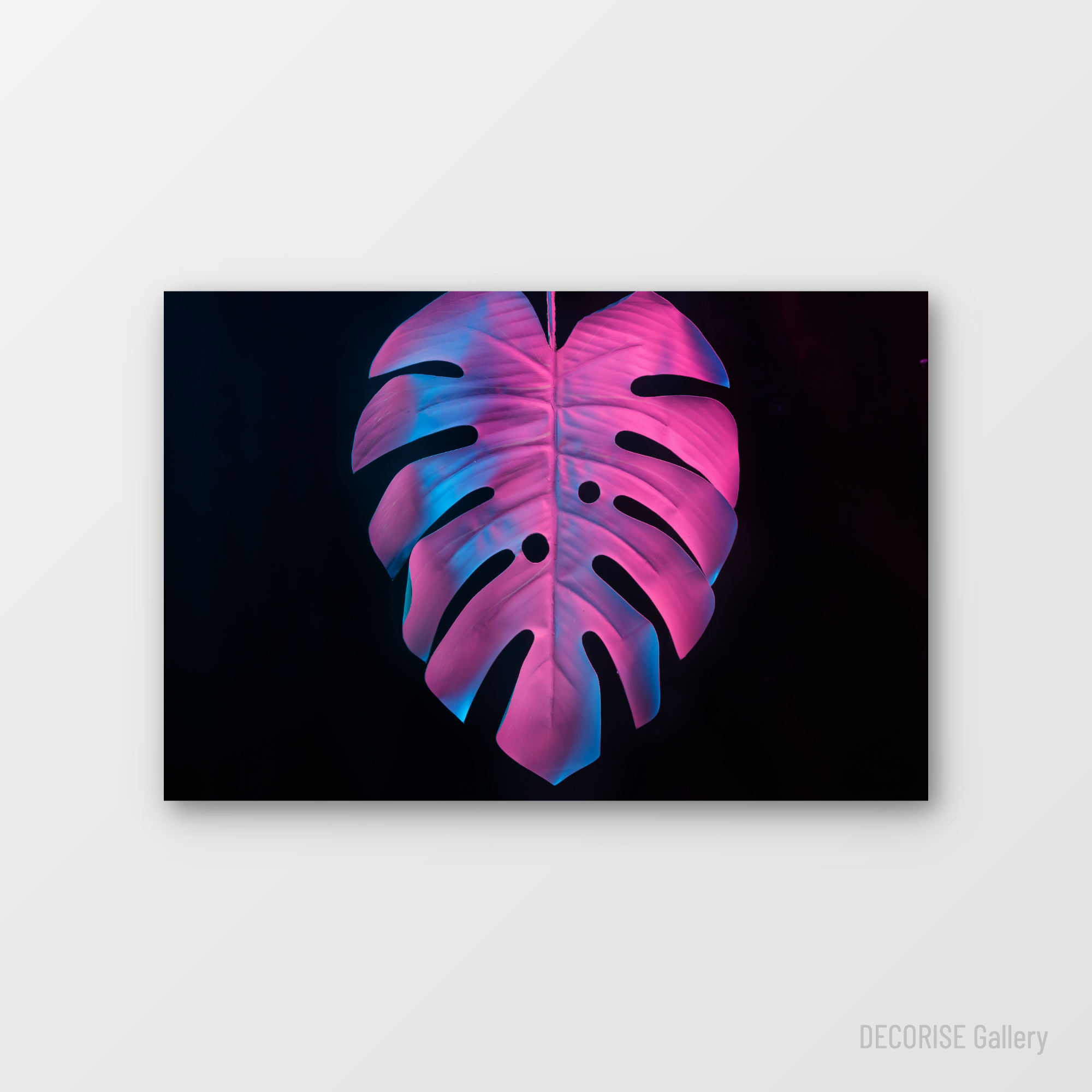 Liść monstery w neonowym świetle