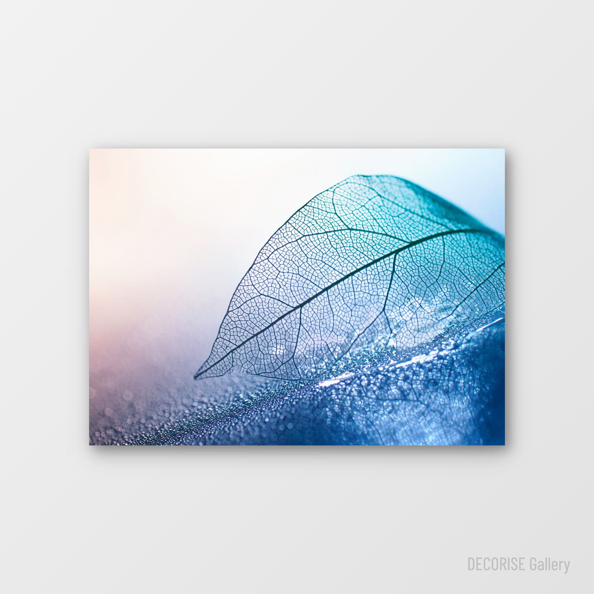 Szkielet liścia w błękicie