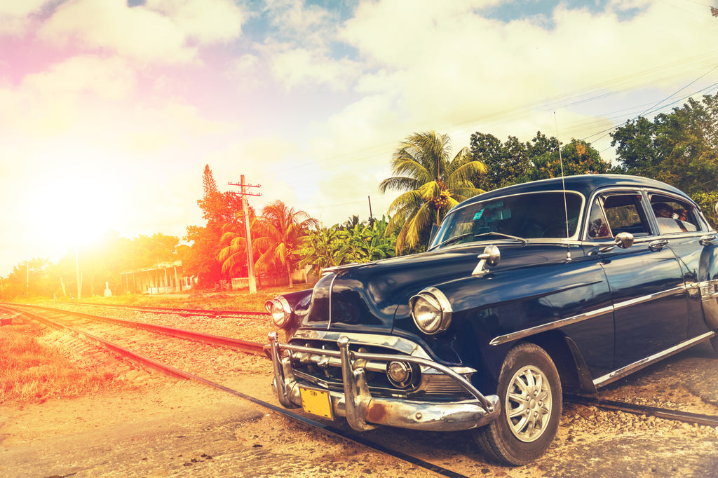 Granatowy klasyk na tle palm