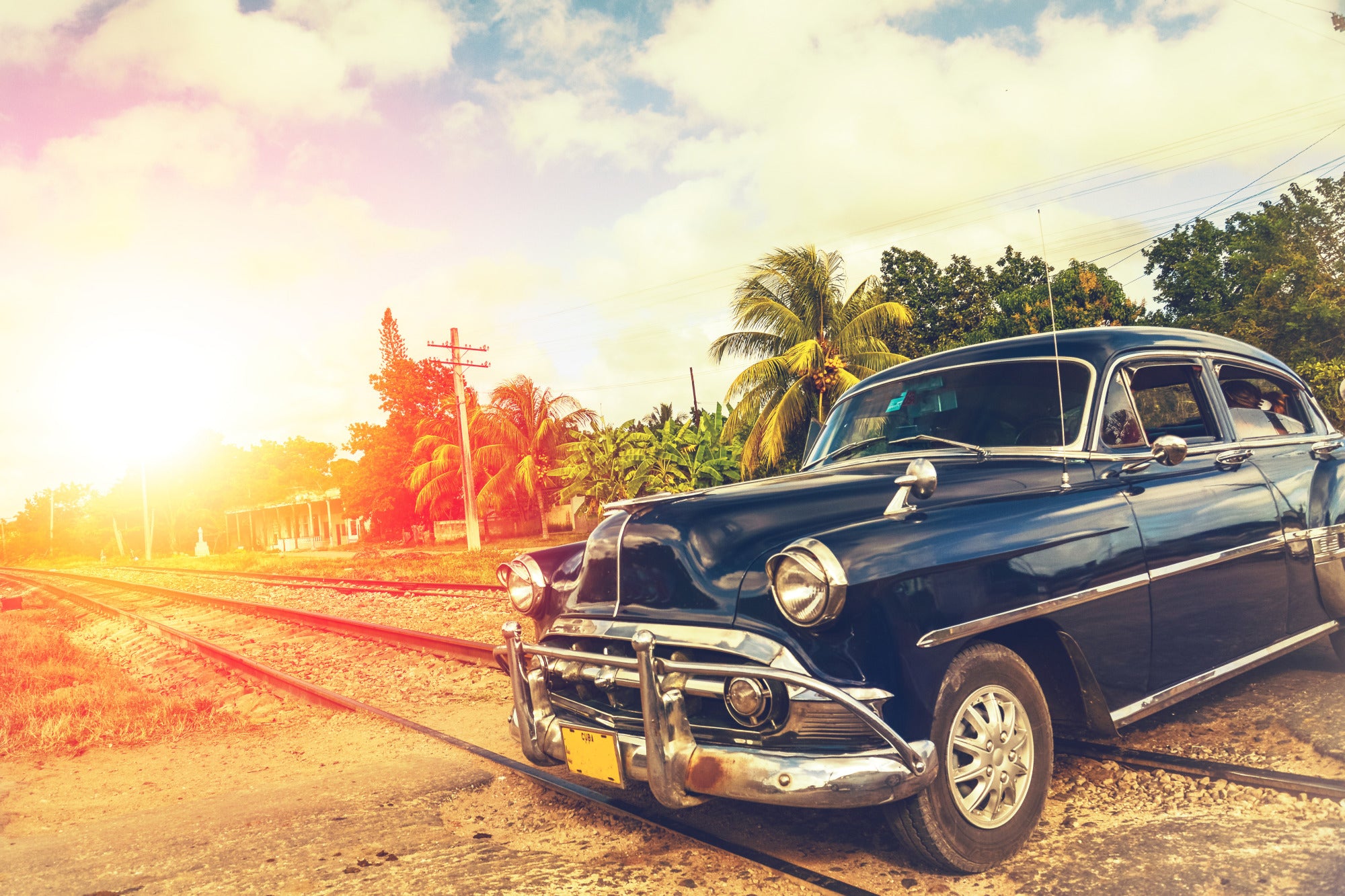 Granatowy klasyk na tle palm