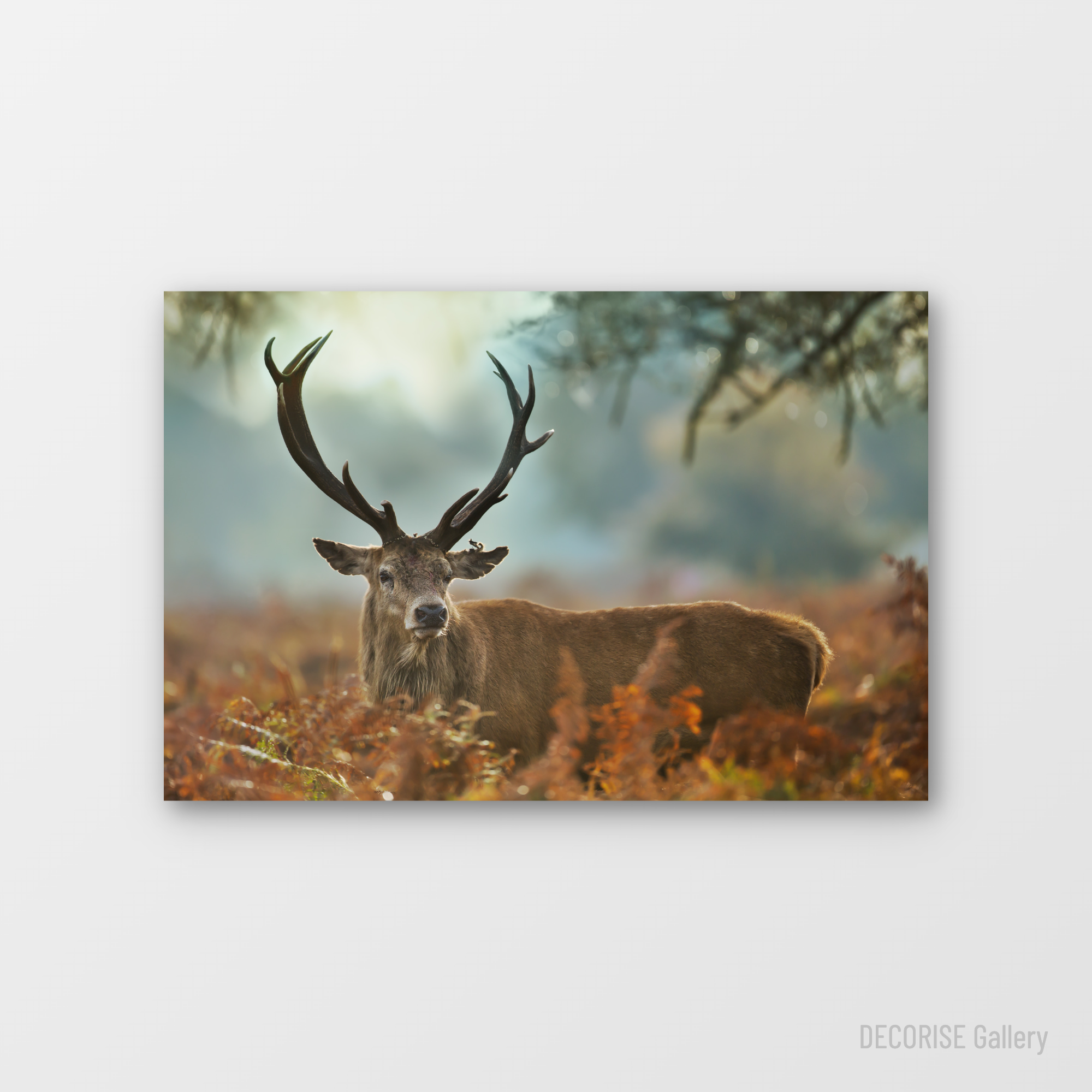 Jeleń na tle jesiennych paproci