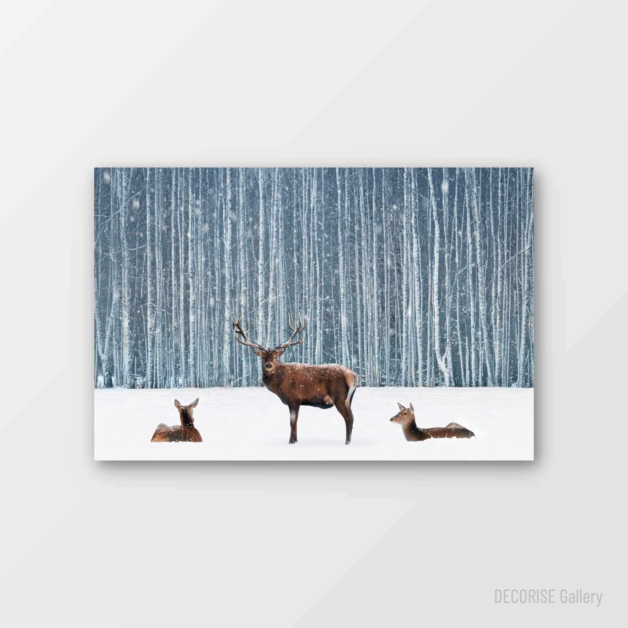 Jeleń i łanie w zaśnieżonym lesie