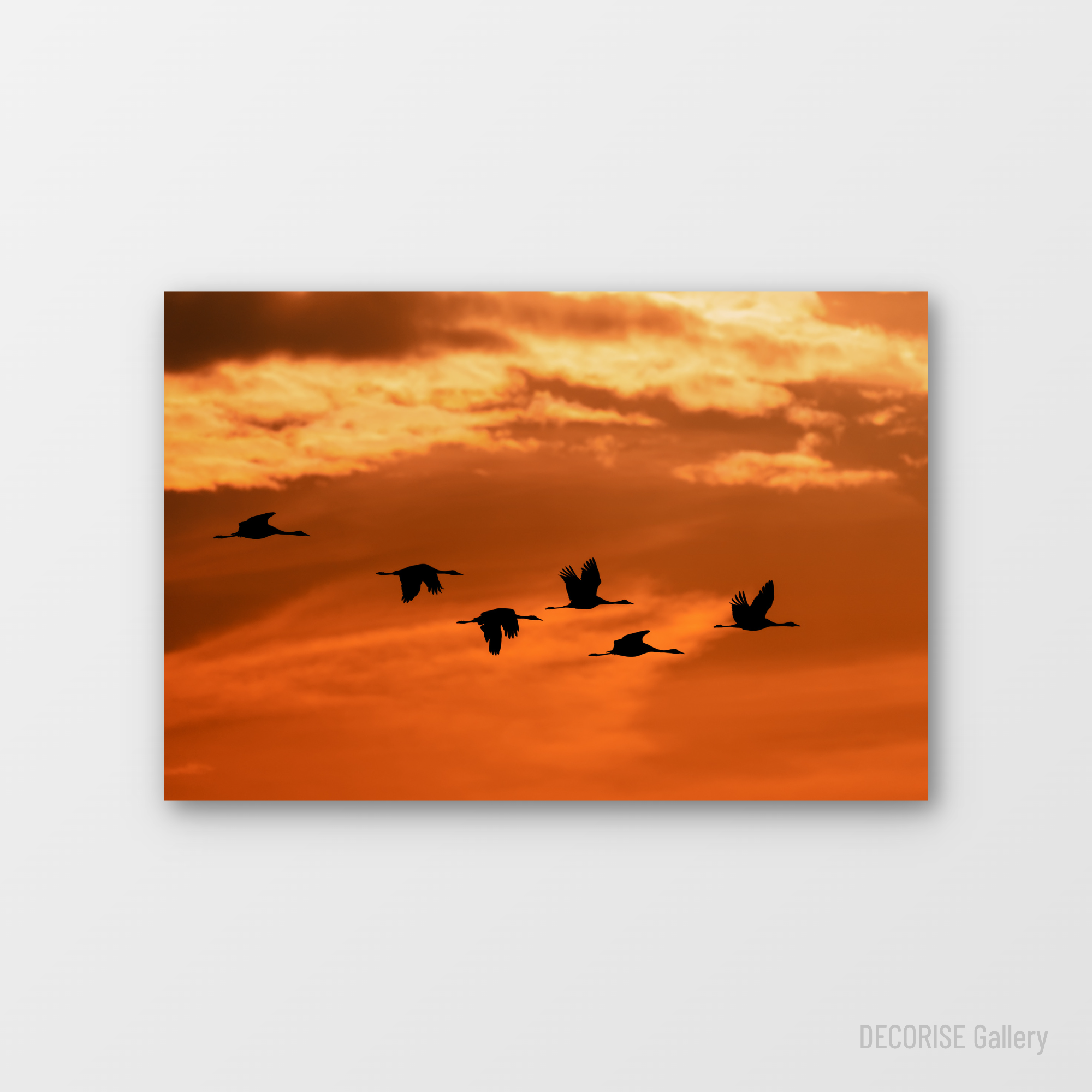 Klucz żurawi na tle zachodzącego słońca