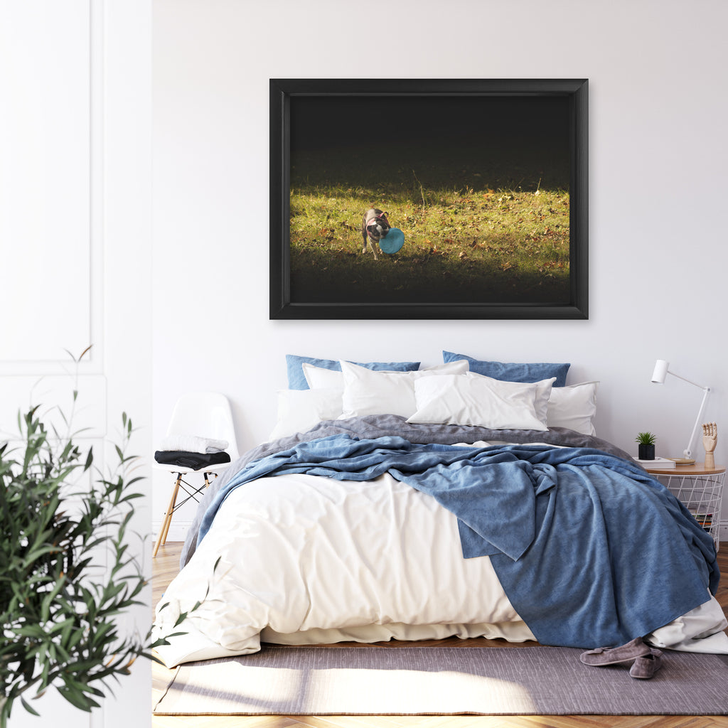 Obraz na płótnie Pies z frisbee