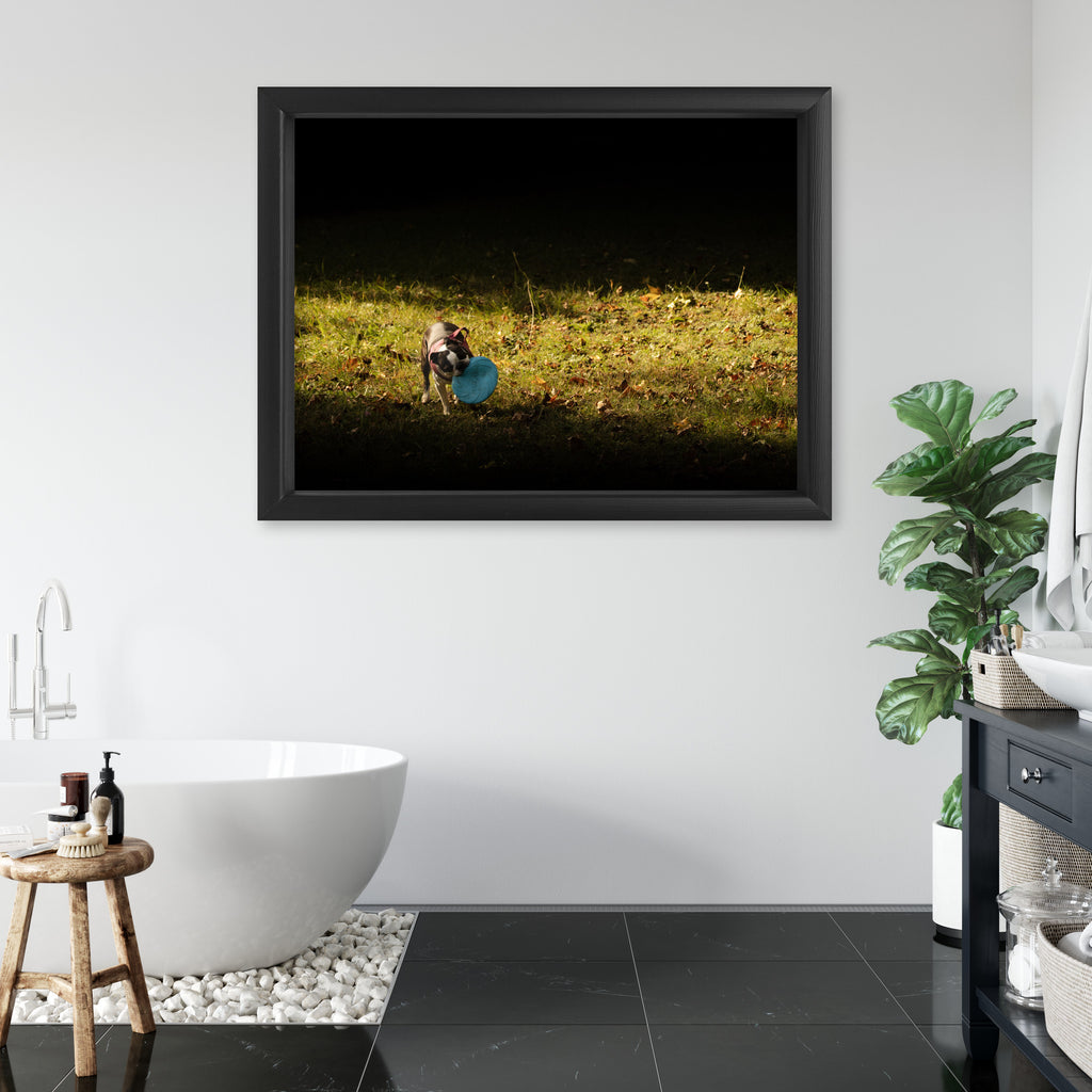 Obraz na płótnie Pies z frisbee