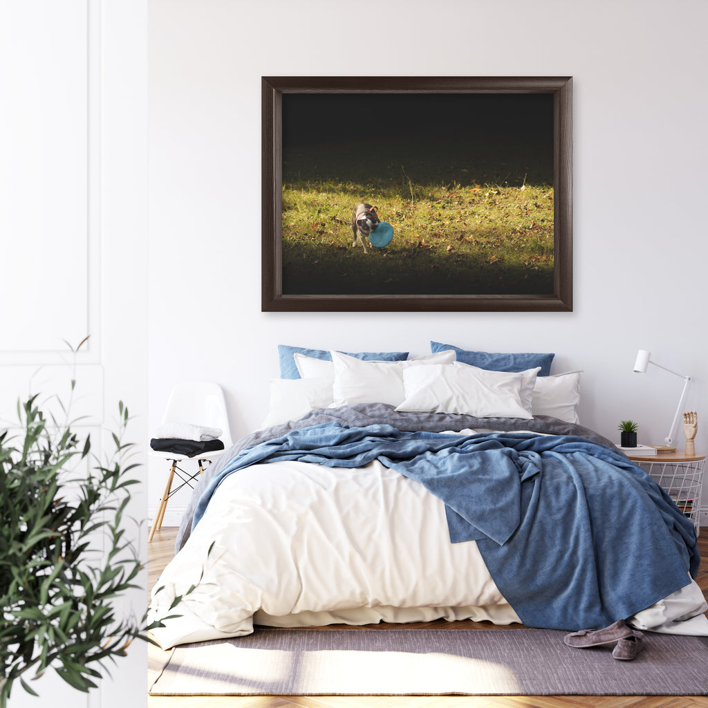 Obraz na płótnie Pies z frisbee