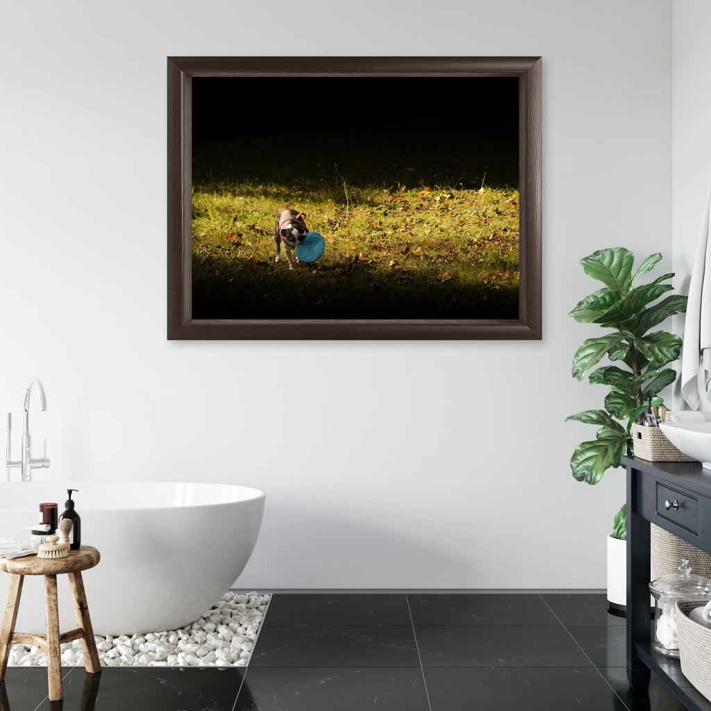 Obraz na płótnie Pies z frisbee