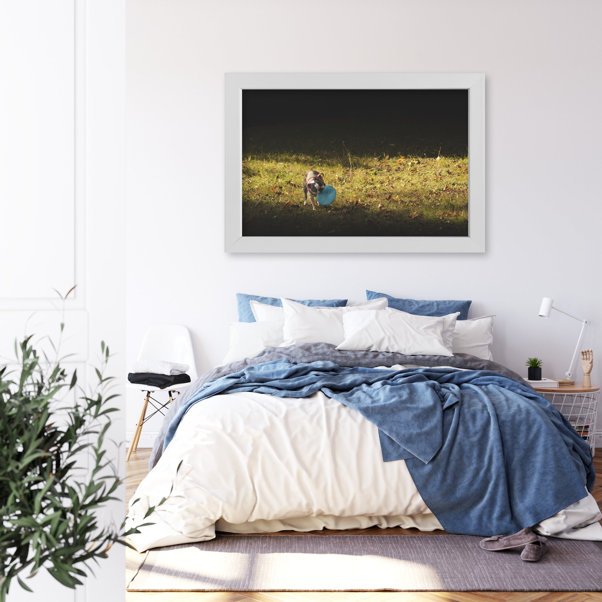 Obraz na płótnie Pies z frisbee