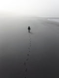 Sylwetka człowieka na zamglonej plaży