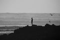 Test - z pexels