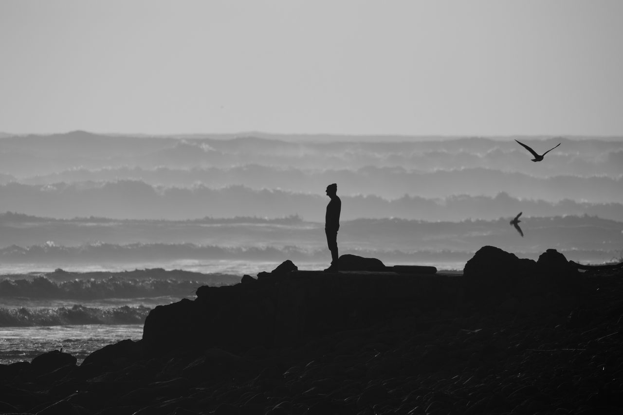 Test - z pexels